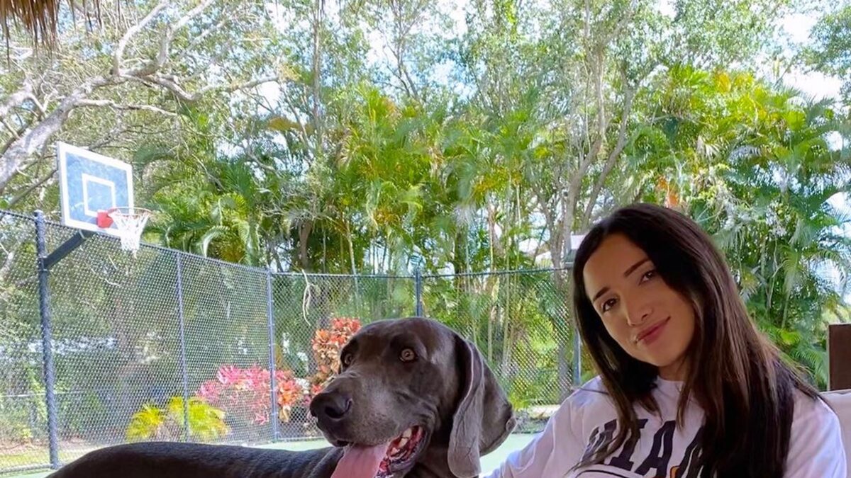 Bachelor Nation Pets